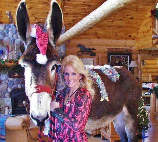 Farm Critter Corner